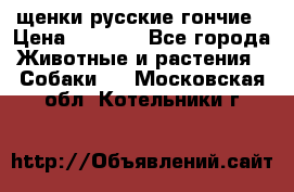 щенки русские гончие › Цена ­ 4 000 - Все города Животные и растения » Собаки   . Московская обл.,Котельники г.